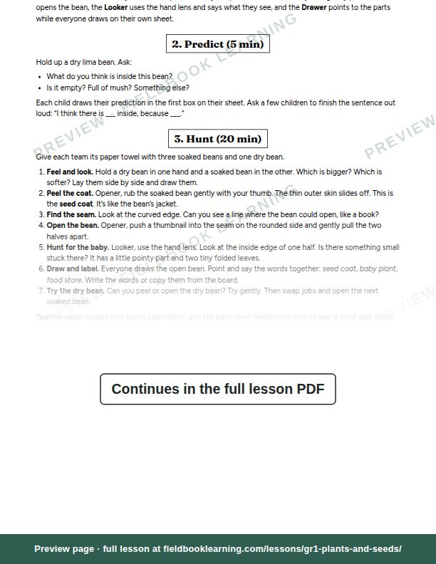Inside: the lesson steps: What's inside a seed?