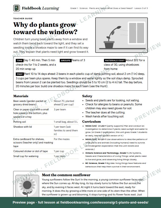First page of the Why do plants grow toward the window? teacher guide