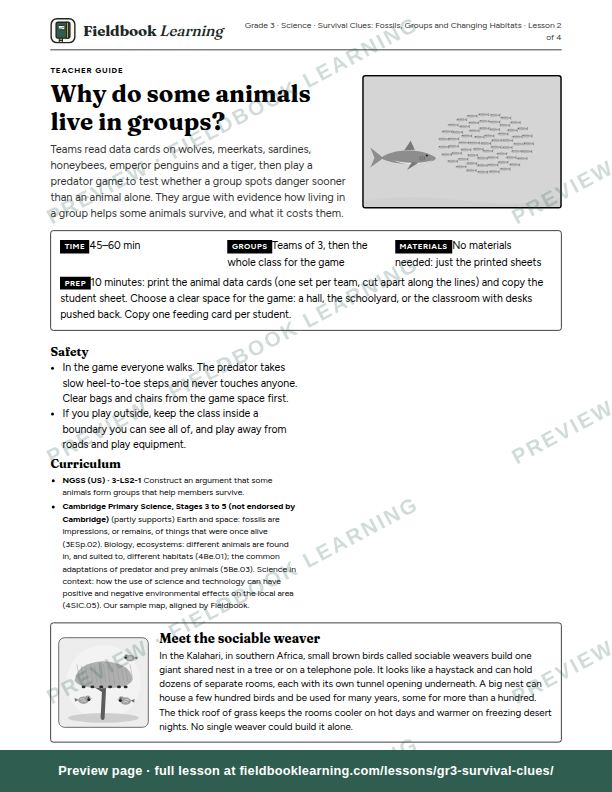First page of the Why do some animals live in groups? teacher guide