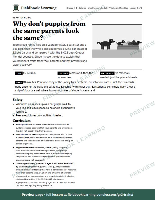 First page of the Why don't puppies from the same parents look the same? teacher guide
