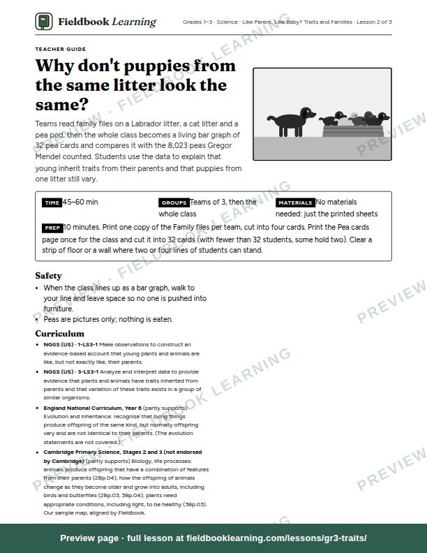 First page of the Why don't puppies from the same litter look the same? teacher guide