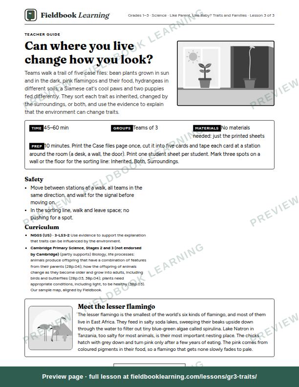 First page of the Can where you live change how you look? teacher guide