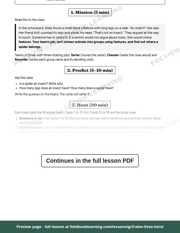 Inside: the lesson steps: Is a spider an insect?