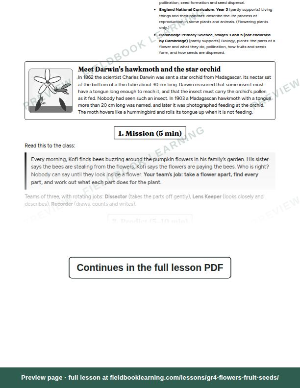 Inside: the lesson steps: What is a flower really for?