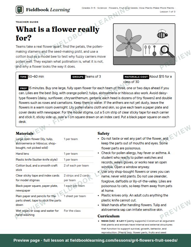 First page of the What is a flower really for? teacher guide