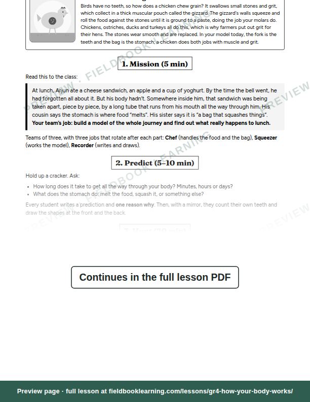 Inside: the lesson steps: What happens to your lunch?