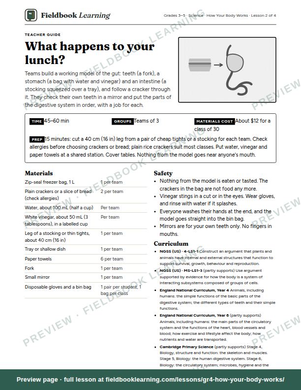 First page of the What happens to your lunch? teacher guide