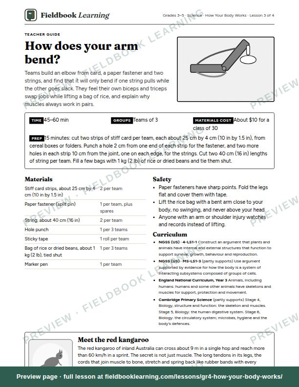 First page of the How does your arm bend? teacher guide