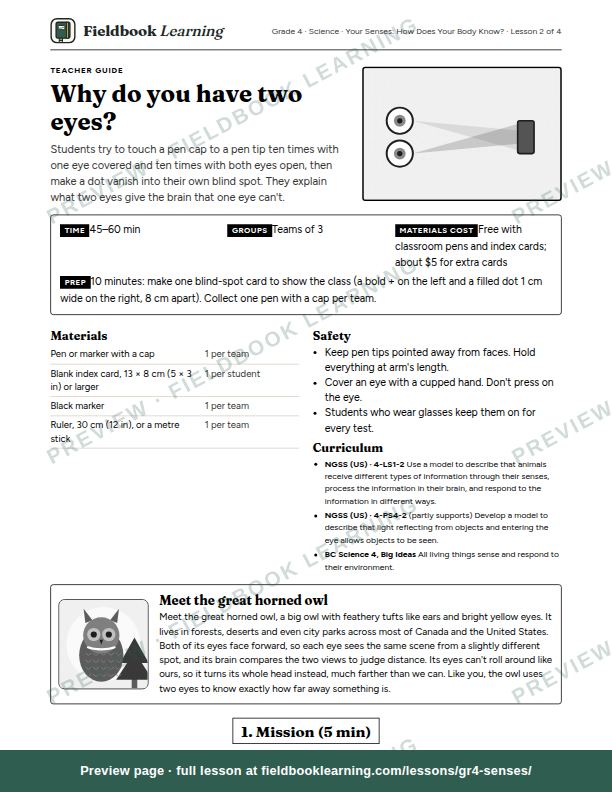 First page of the Why do you have two eyes? teacher guide