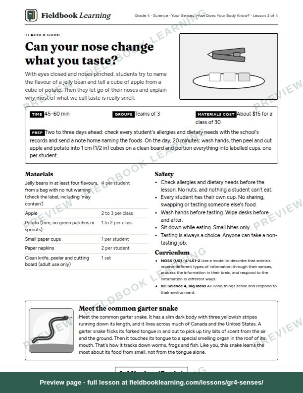 First page of the Can your nose change what you taste? teacher guide