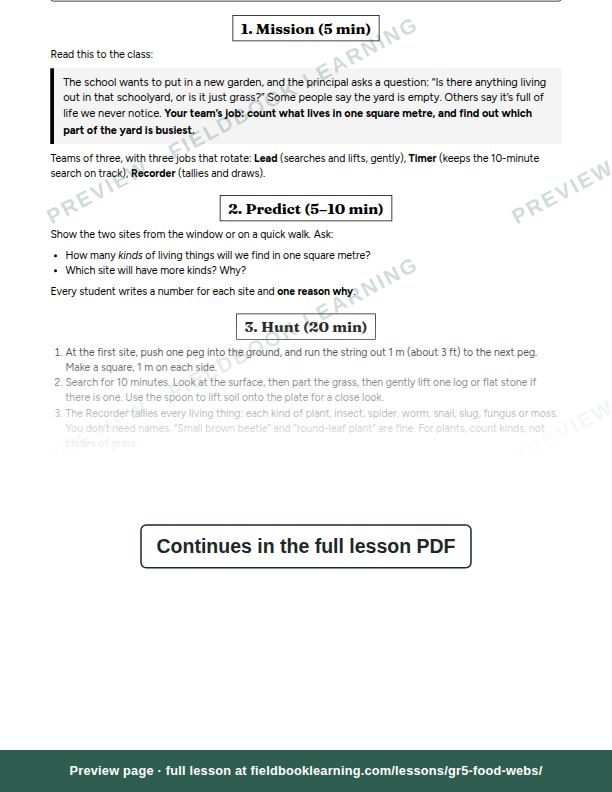 Inside: the lesson steps: Can we count the life under a log?