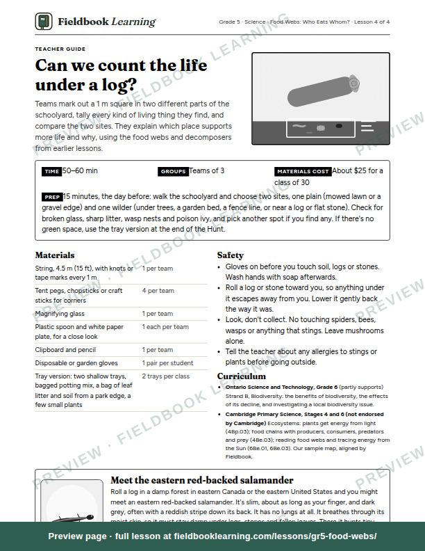 First page of the Can we count the life under a log? teacher guide