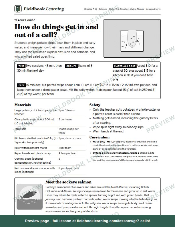 First page of the How do things get in and out of a cell? teacher guide