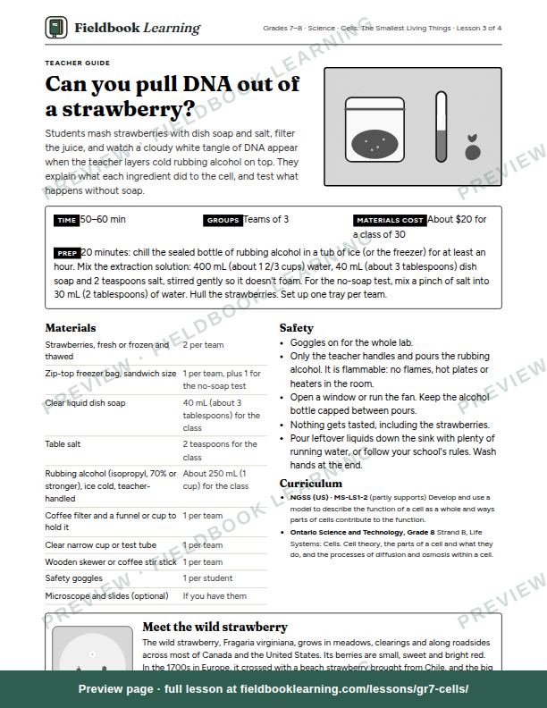 First page of the Can you pull DNA out of a strawberry? teacher guide