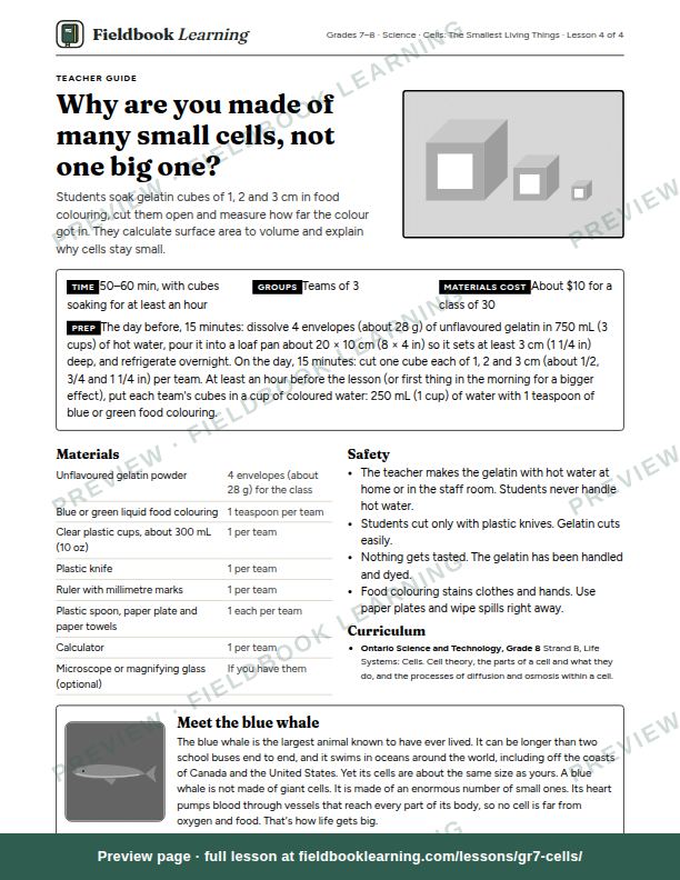 First page of the Why are you made of many small cells, not one big one? teacher guide