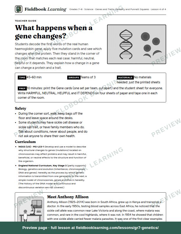 First page of the What happens when a gene changes? teacher guide