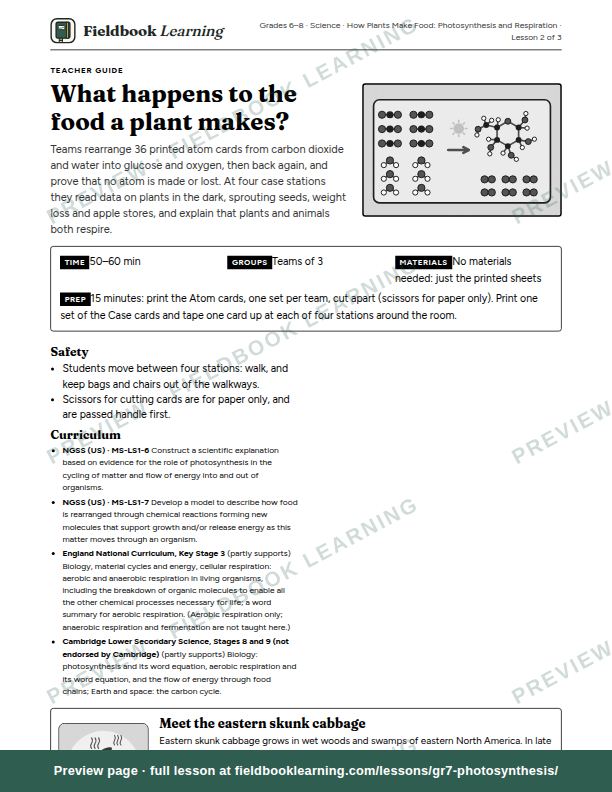 First page of the What happens to the food a plant makes? teacher guide