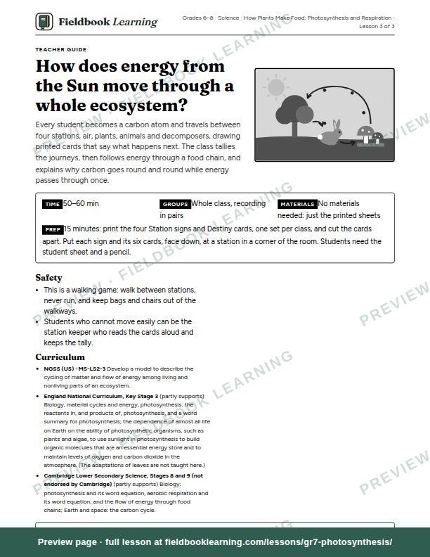 First page of the How does energy from the Sun move through a whole ecosystem? teacher guide