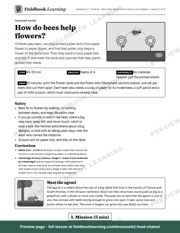 First page of the How do bees help flowers? teacher guide